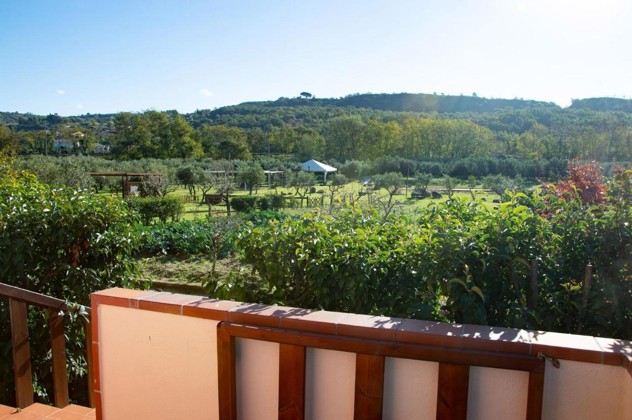 Iscairia Country House Ascea Extérieur photo