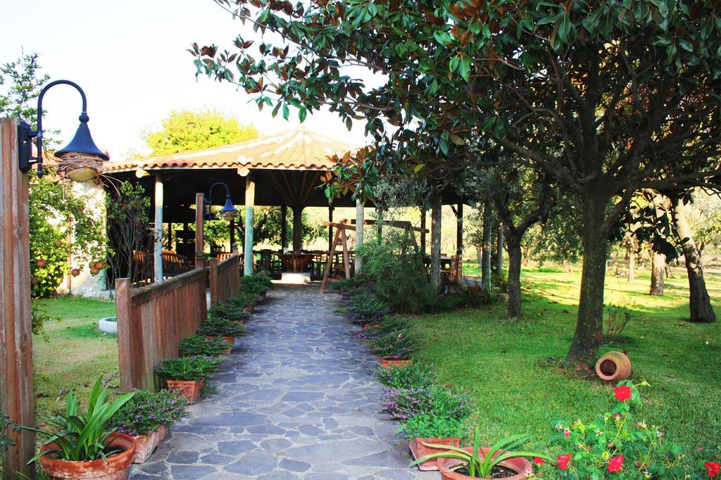 Iscairia Country House Ascea Extérieur photo